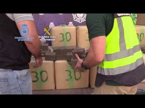 Guía de Guarderías en Puerto Real