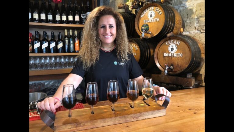Mejores lugares para catas de vino en San Fernando