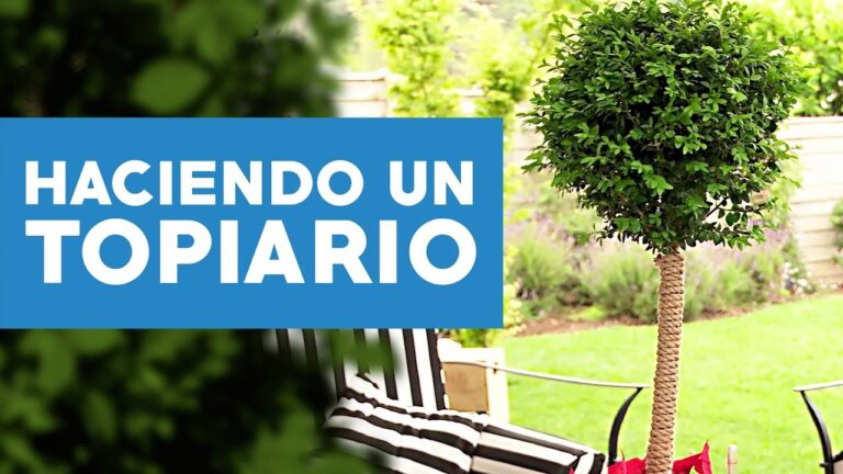 Cursos de Jardinería Disponibles en El Puerto de Santa María