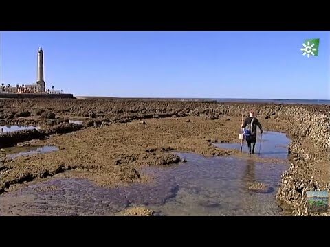 Monumentos Hist&oacute;ricos Destacados en Chipiona