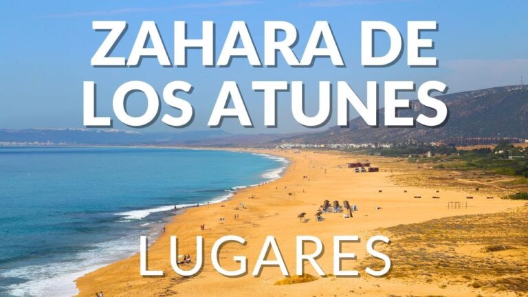 Guía para Comprar Productos Frescos y Locales en Vejer de la Frontera
