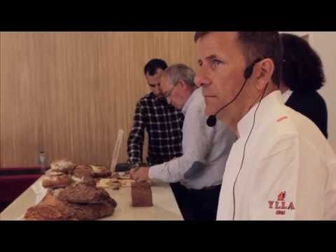 Mejores Cursos de Panadería en Cádiz