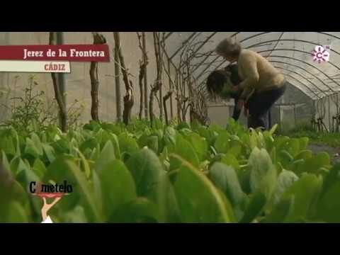 Mercados Ecológicos en Chiclana de la Frontera: Guía de Localización