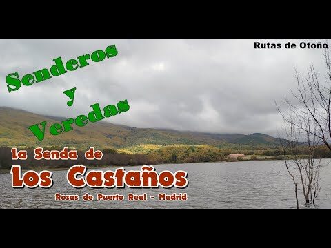 Actividades Imperdibles en Puerto Real Durante el Oto&ntilde;o