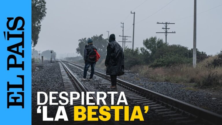 Cómo actuar ante un robo en la vía pública en San Fernando