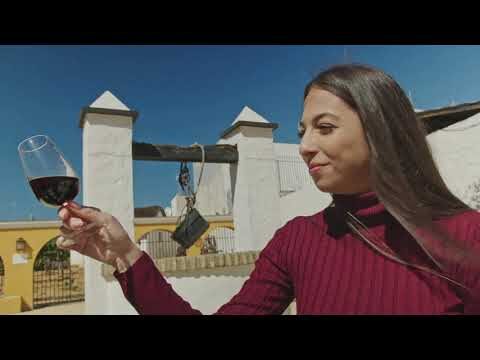 Rutas de Vino: Descubre los Mejores Destinos desde Chipiona