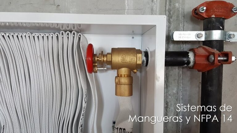 Normativas de Apertura de Locales Comerciales en Rota