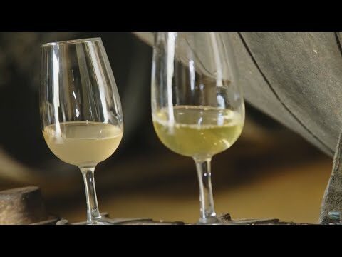 Rutas de Vinos Cerca de Vejer de la Frontera