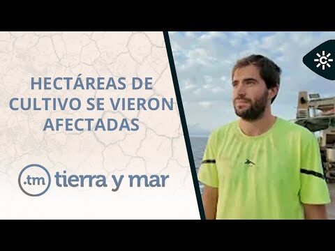 Guía para Encontrar Productos Ecológicos en Chipiona