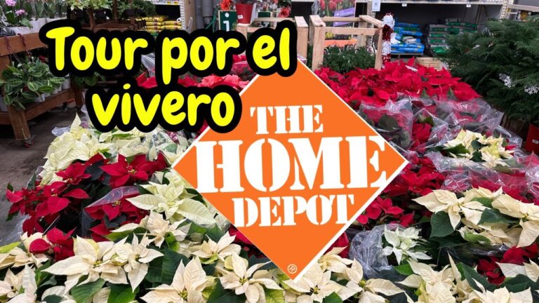 Guía para Encontrar Tiendas de Jardinería en San Fernando
