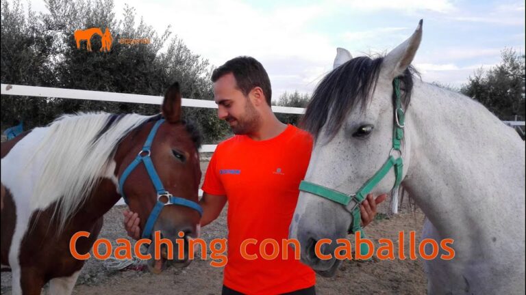 Gu&iacute;a para Cursos de Coaching en C&aacute;diz