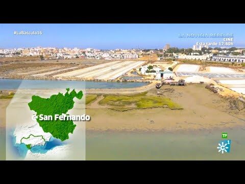 Vida en el Casco Antiguo de San Fernando: Experiencias y Encanto