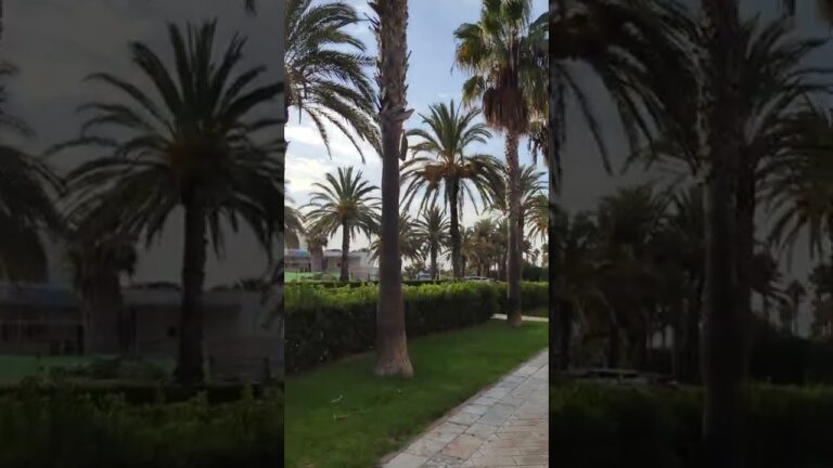Vida en el Casco Antiguo de Chipiona: Encanto y Experiencias